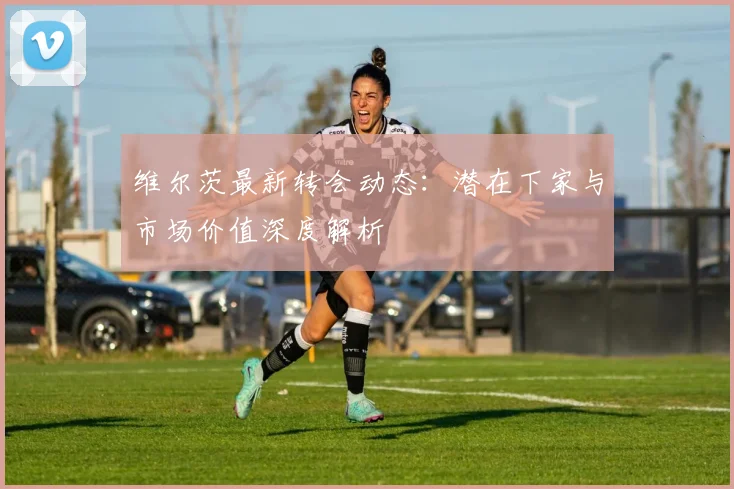 维尔茨最新转会动态：潜在下家与市场价值深度解析