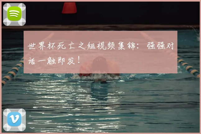 世界杯死亡之组视频集锦：强强对话一触即发！
