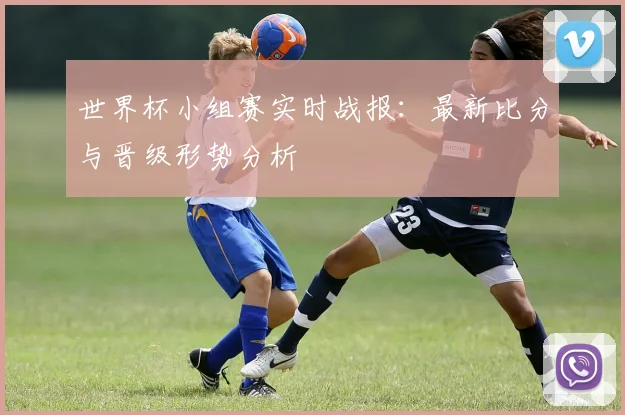世界杯小组赛实时战报：最新比分与晋级形势分析